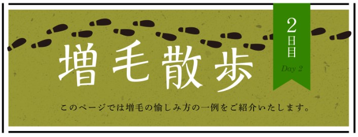 増毛散歩2日目